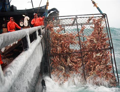 Discovery. Смертельный улов (2005)