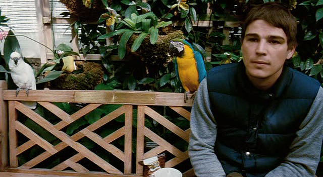 Без ума от любви (2005)