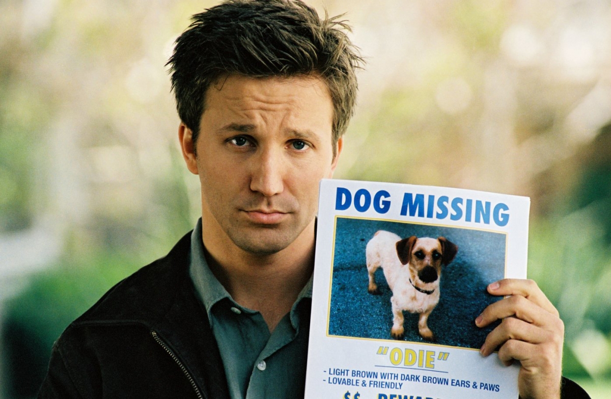 Гарфилд (2004)