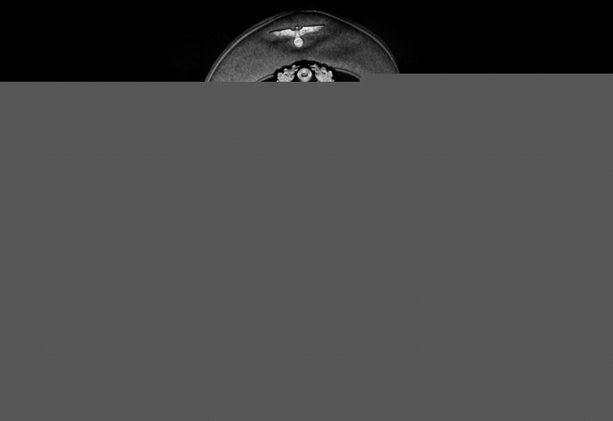 Молчание моря (1949)