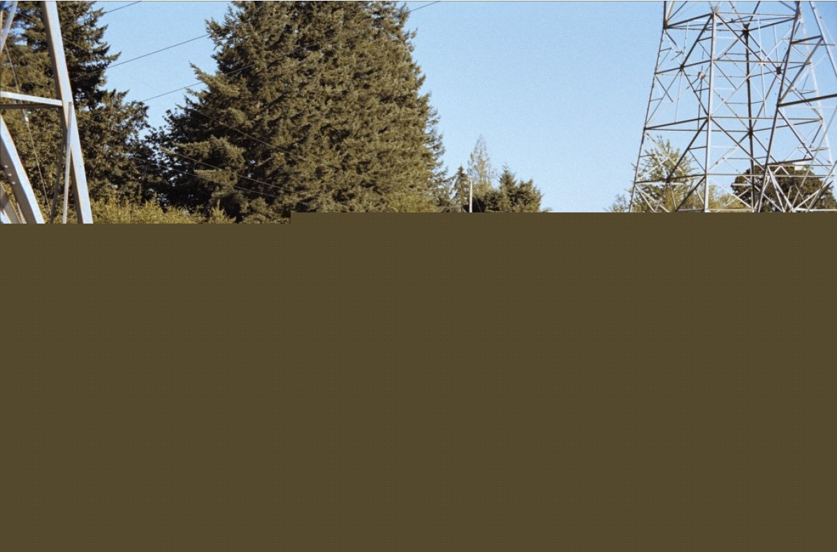 Жестокий ручей (2004)