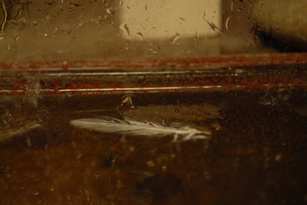 Не скажу (2010)