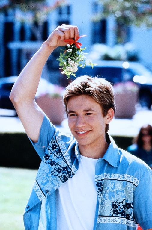 Я буду дома к Рождеству (1998)