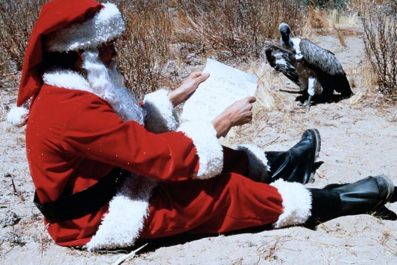 Я буду дома к Рождеству (1998)