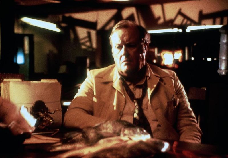 Просто кровь (1984)