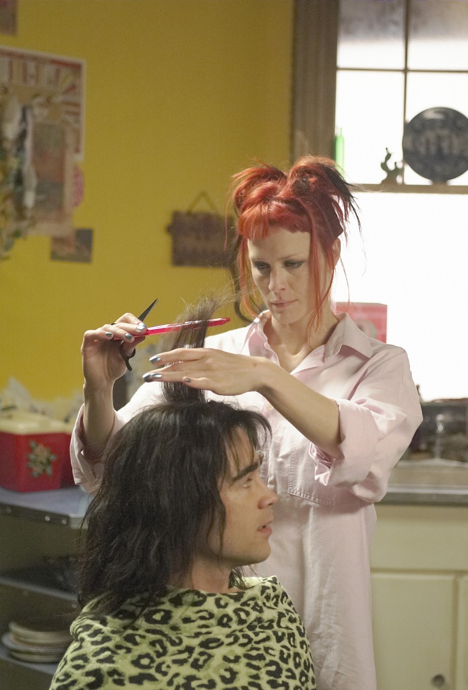 Дом на краю света (2004)