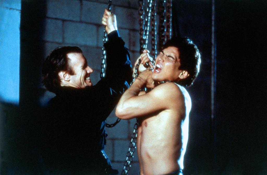 Огненное кольцо 3: Удар льва (1994)