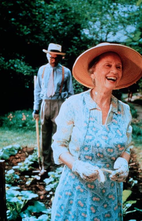 Шофер мисс Дэйзи (1989)