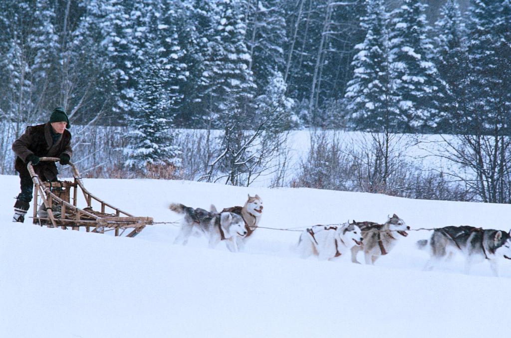 Железная воля (1994)