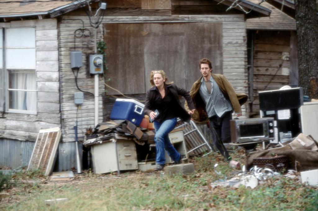 Жизнь Дэвида Гейла (2003)