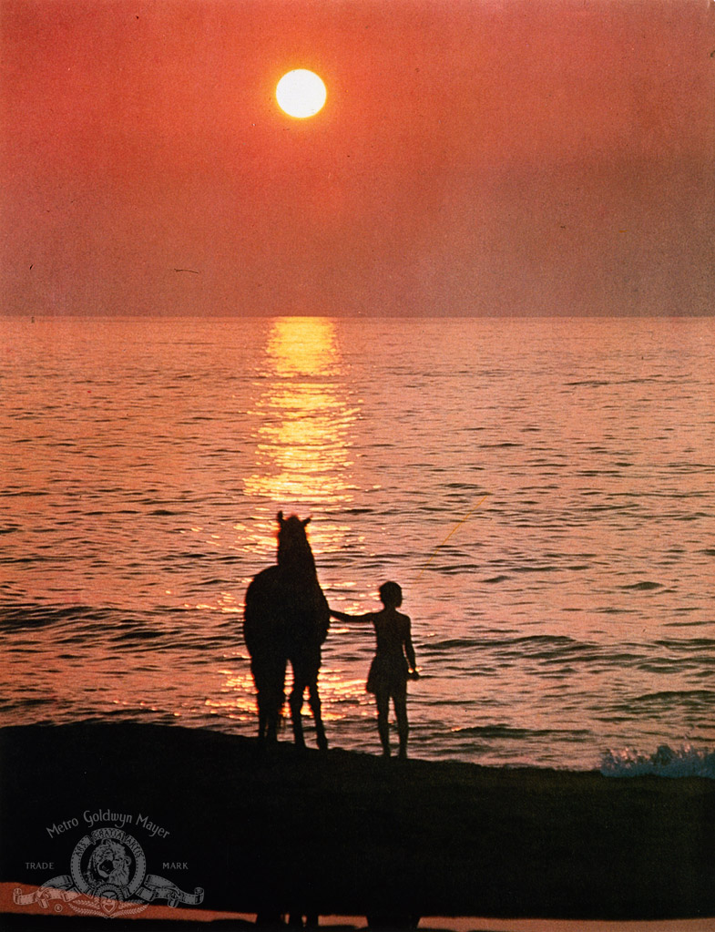 Черный скакун (1979)