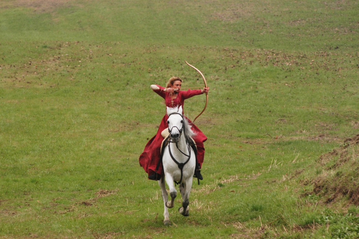 Черная стрела (2006)