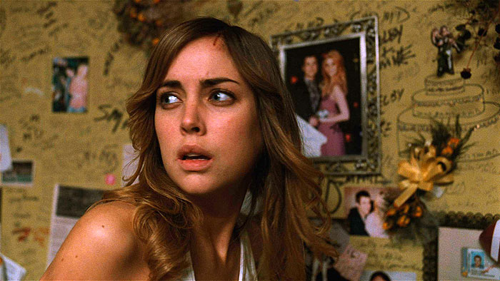 Любит – не любит... (2009)