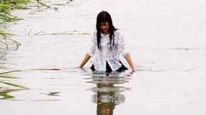 Все о Лили Чоу-Чоу (2001)