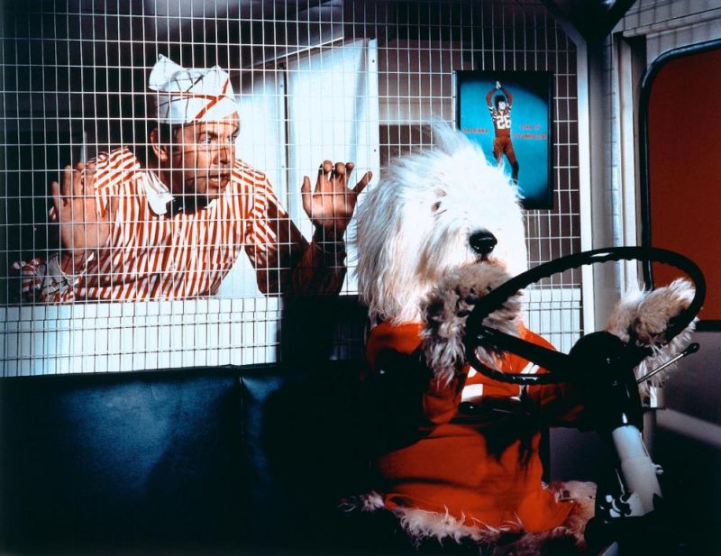 Лохматый прокурор (1976)