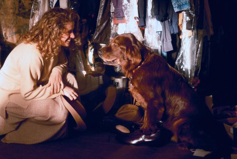 Флюк / Пёс по-прозвищу Счастливчик (1995)