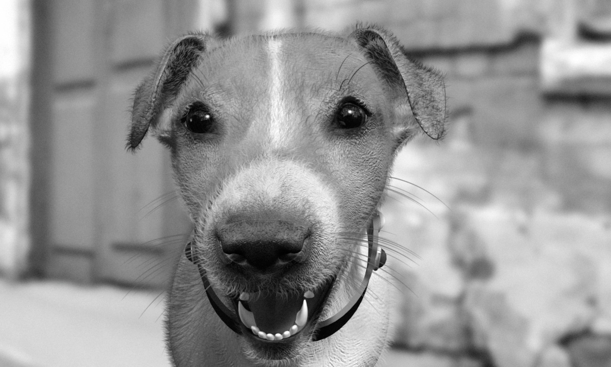 Безразличие (2011)