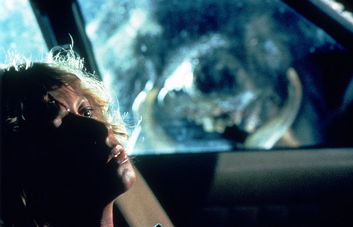 Кабан-секач (1984)