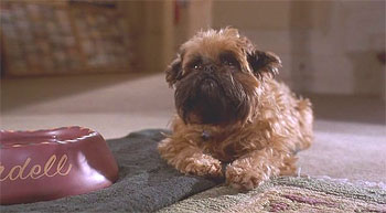 Лучше не бывает (1997)