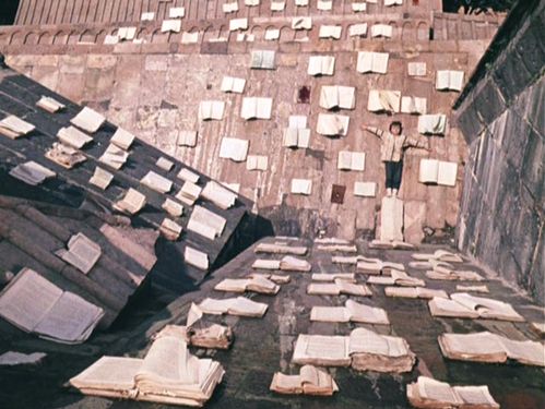 Цвет граната (1970)