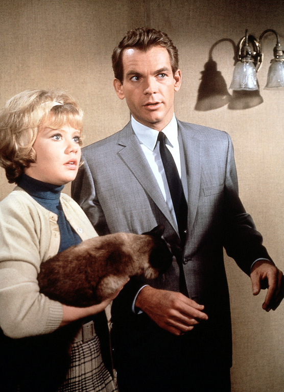 Эта дикая кошка (1965)