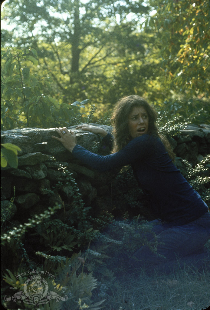 Последний дом слева (1972)