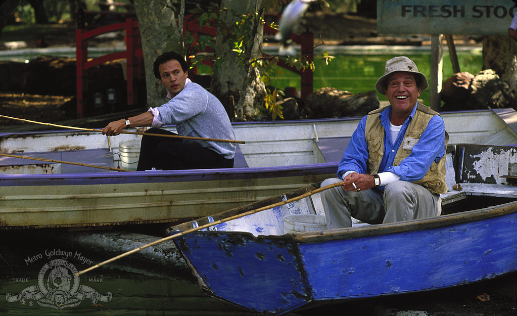 Мои воспоминания (1988)