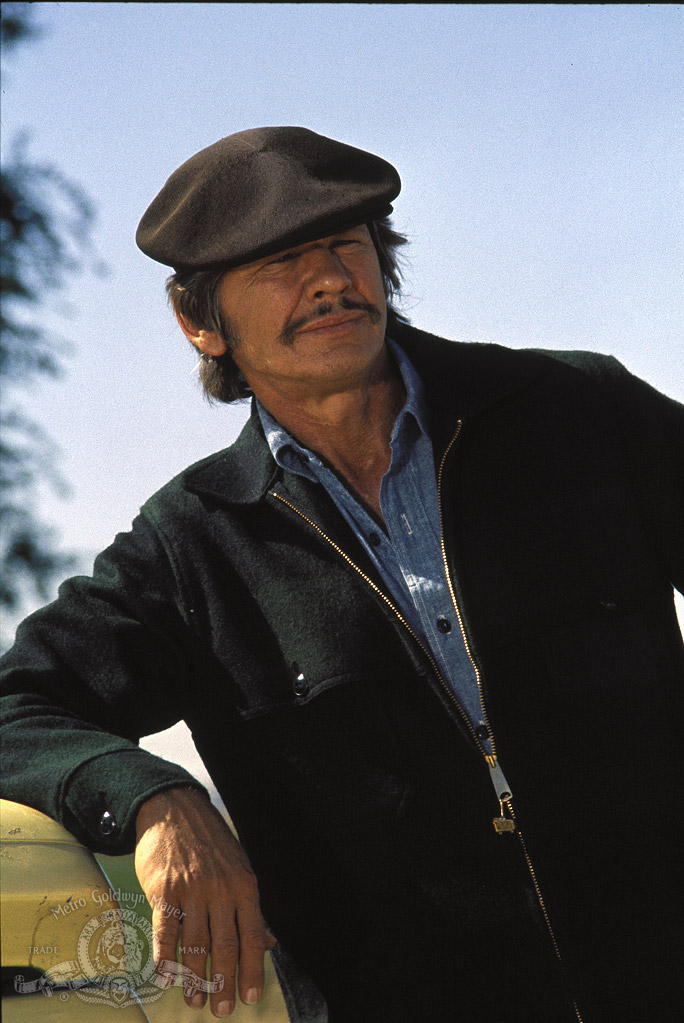 Мистер Маджестик (1974)