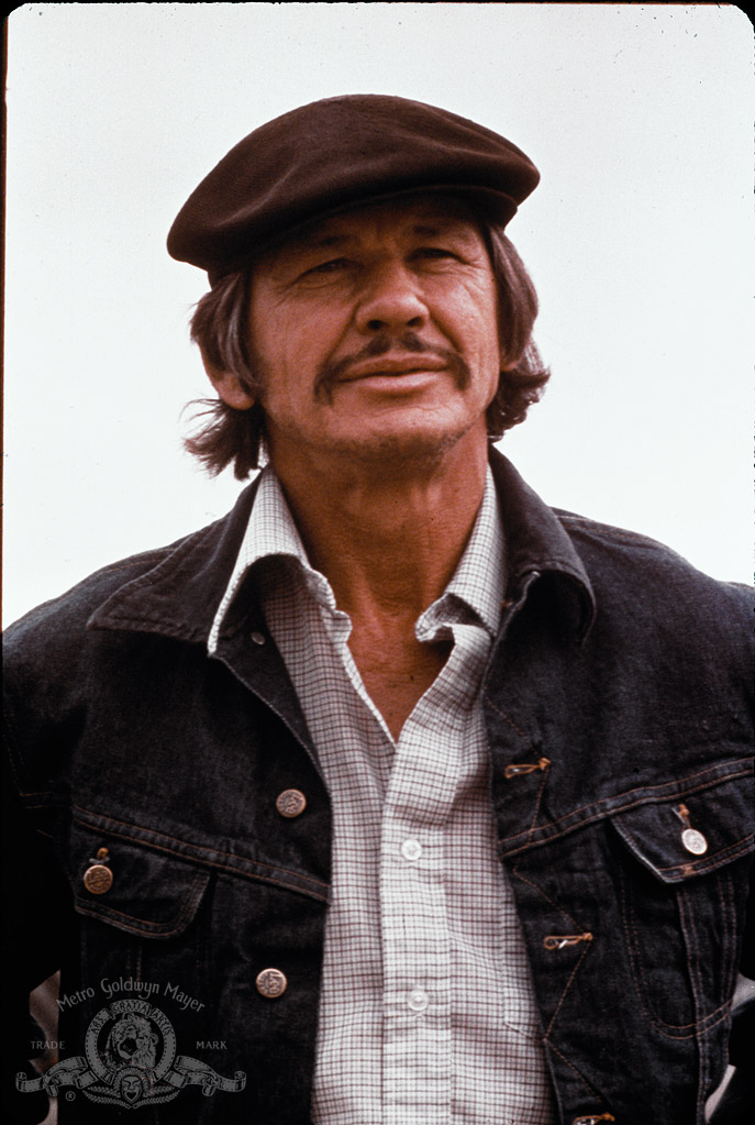 Мистер Маджестик (1974)