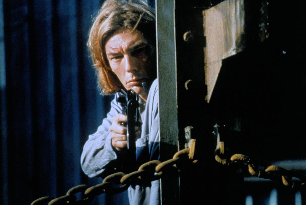 Леди дракон 2 (1993)