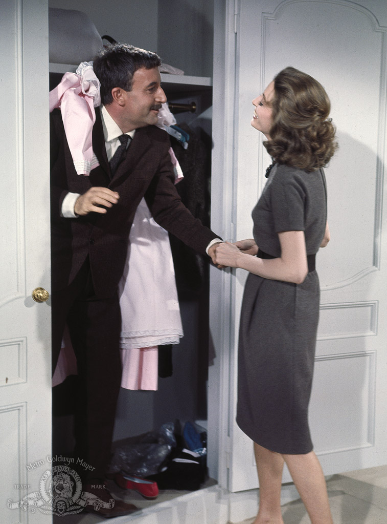 Розовая пантера (1963)