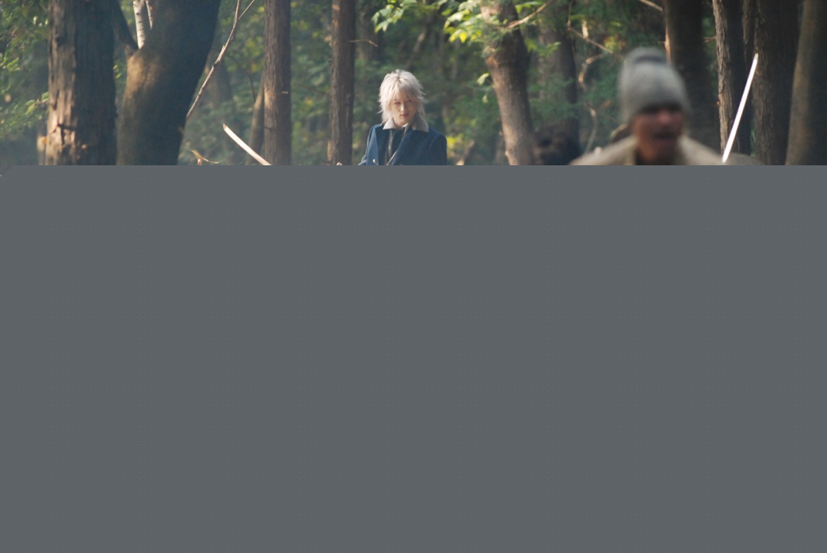 Хигандзима (2009)