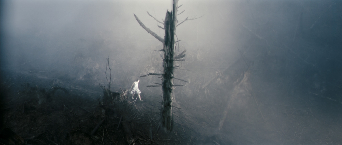 Антихрист (2009)