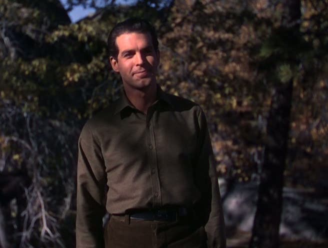 Тропинка одинокой сосны (1936)