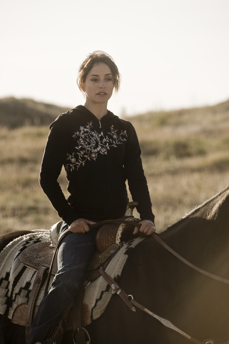 «Кадиллак» Долана (2009)