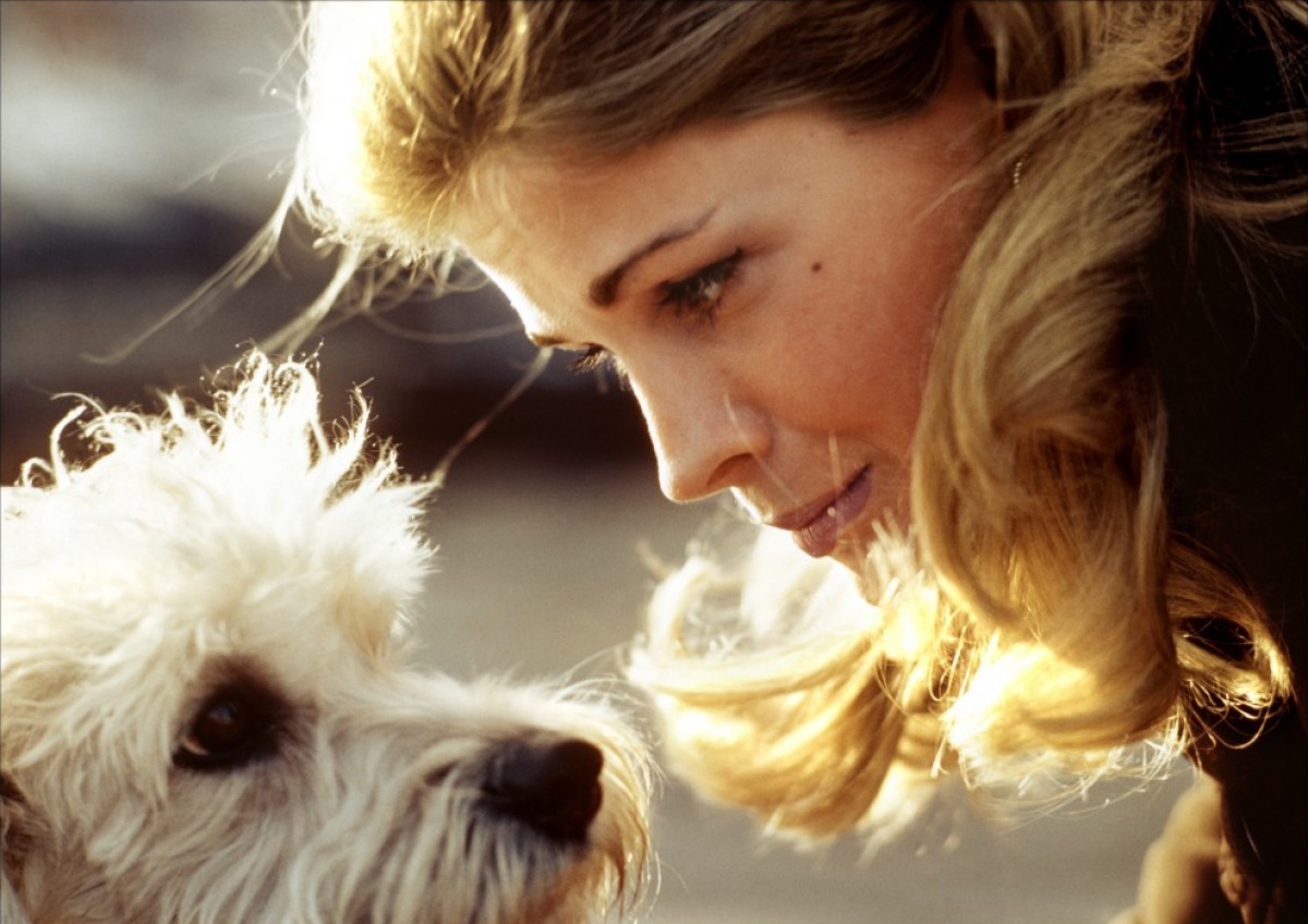 Жить, чтобы жить (1967)