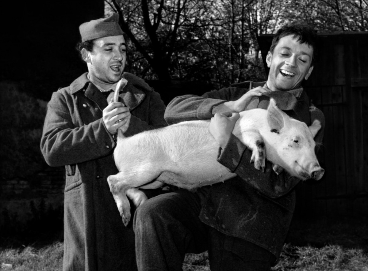 Пленный капрал (1962)