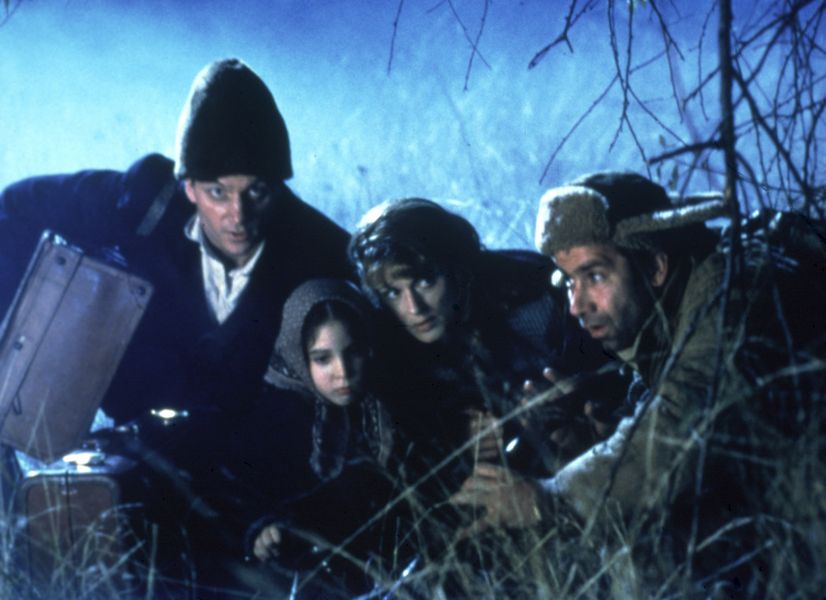 Американская рапсодия (2001)