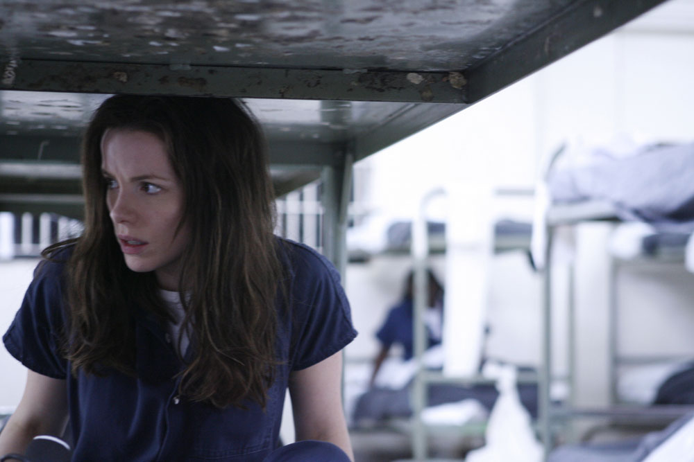 Ничего, кроме правды (2008)