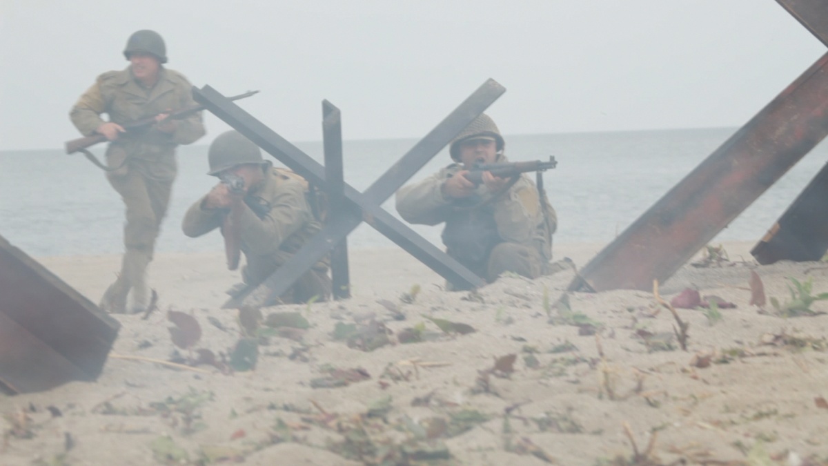 Красная роза Нормандии (2011)