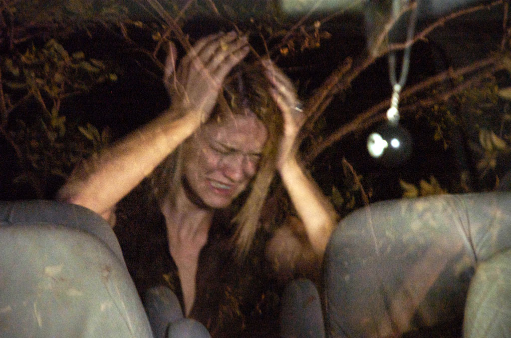 Медведь (2010)