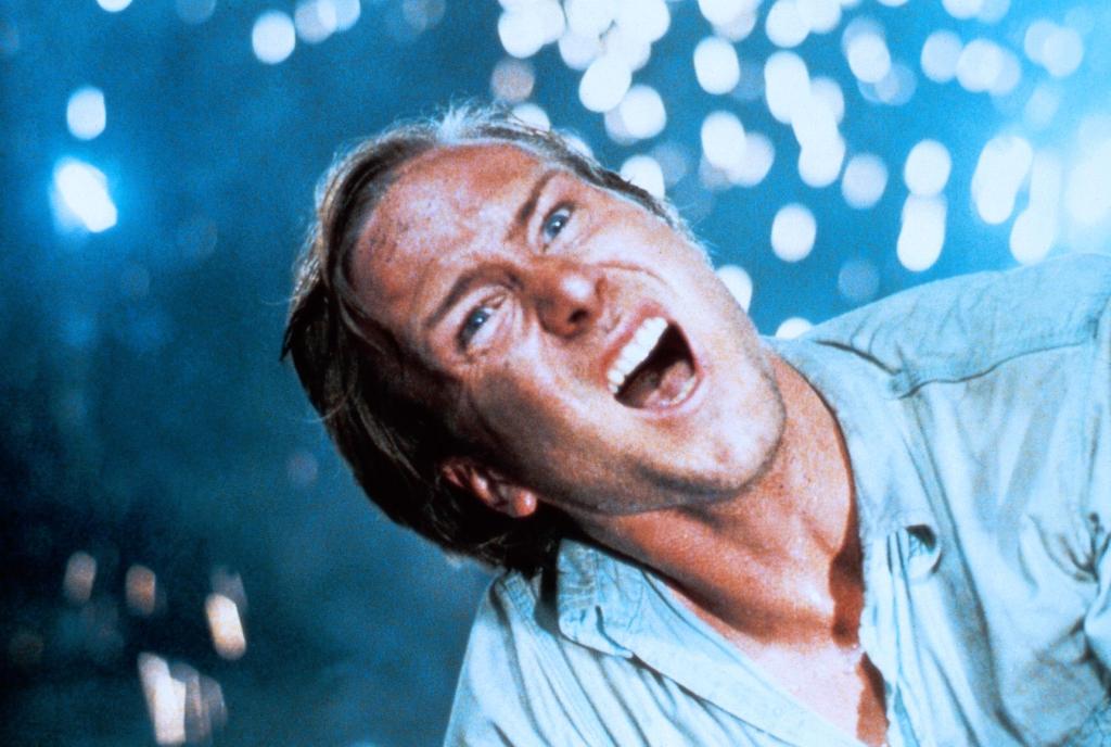 Другие ипостаси (1980)