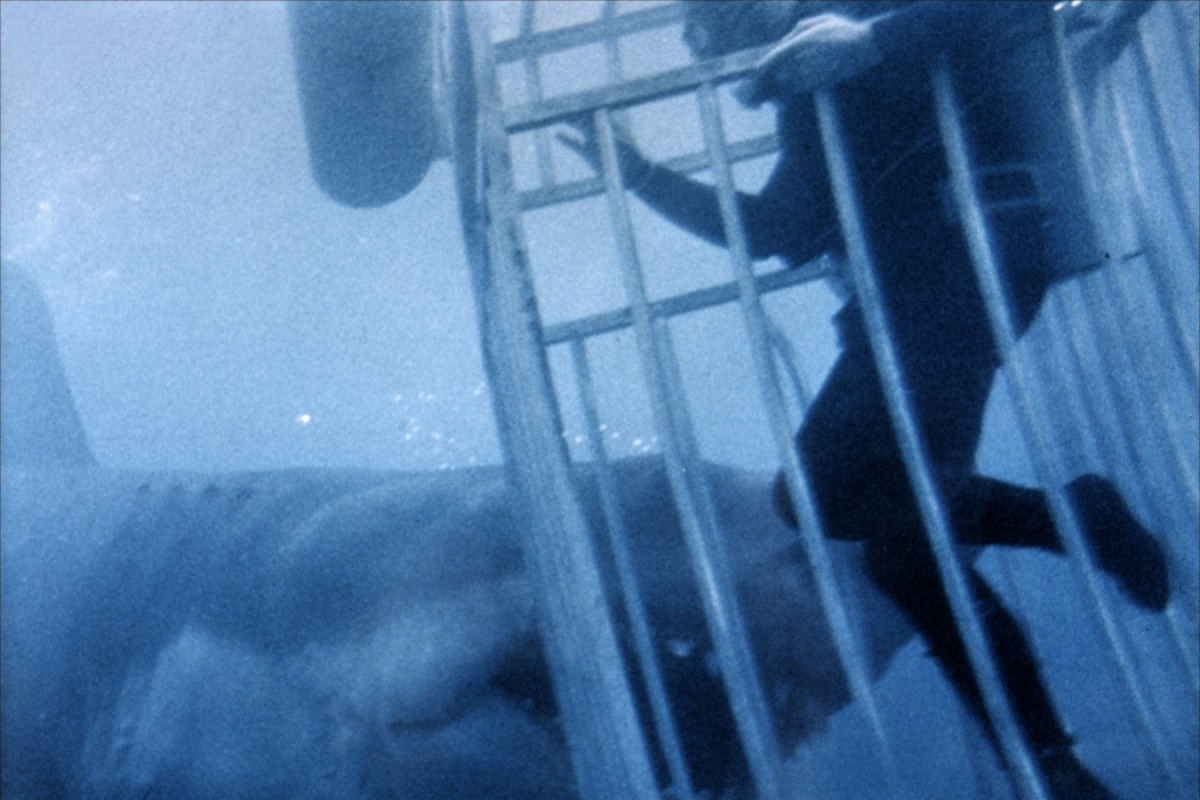 Челюсти (1975)