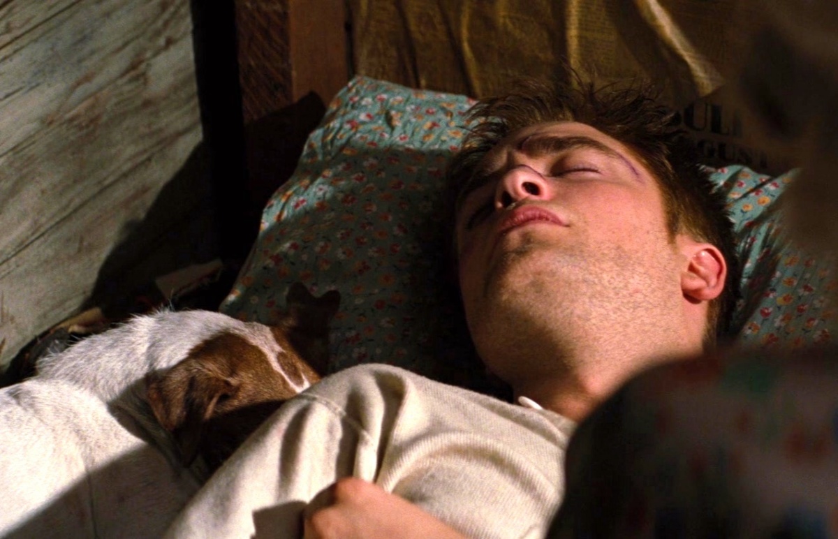 Воды слонам (2011)