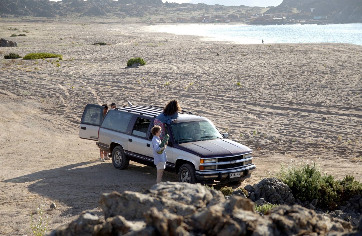 Кристал Фэйри и волшебный кактус и 2012 (2013)