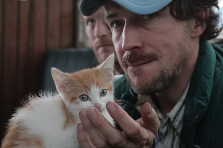 Трикл Мл. (2010)