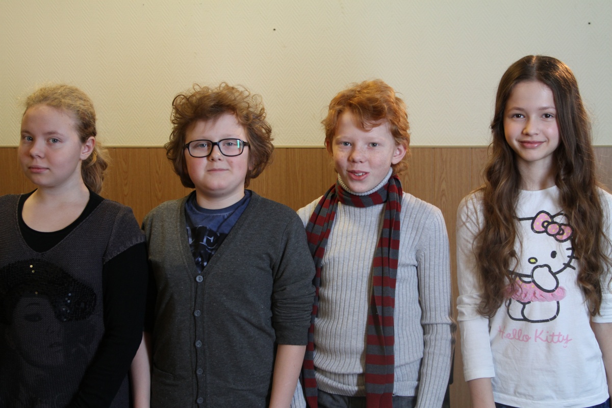 Семицветик (2013)