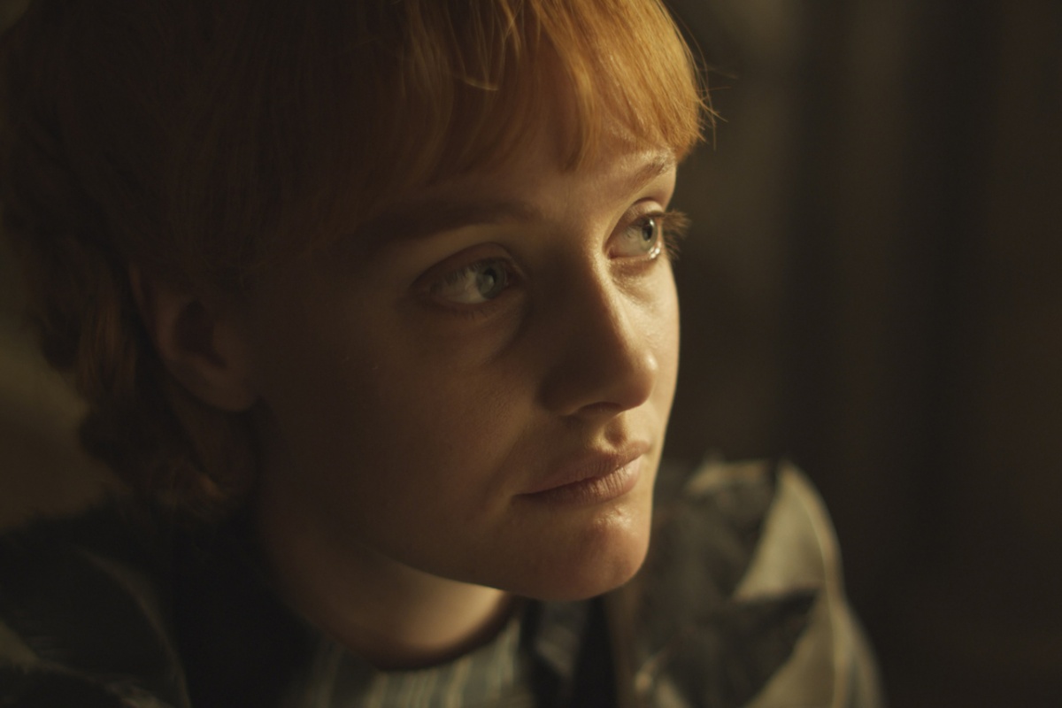 Багровый лепесток и белый (2011)