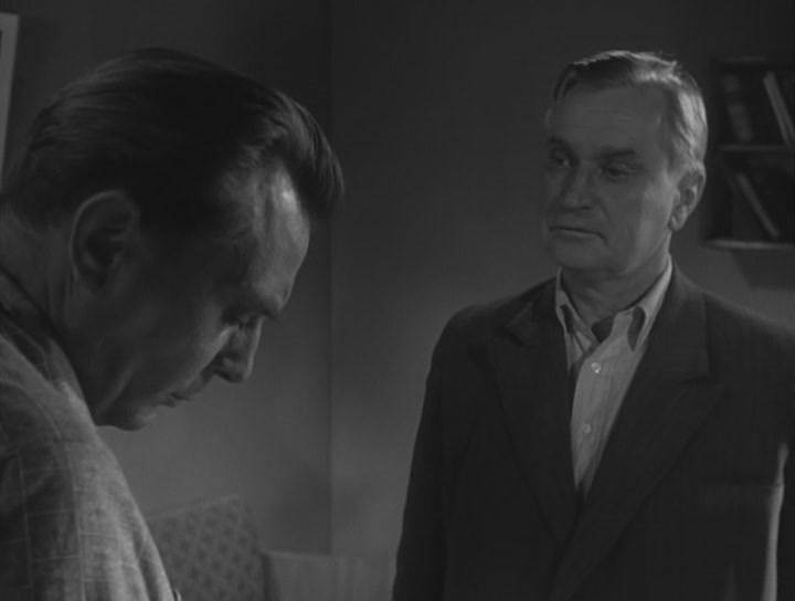 Мать и мачеха (1965)