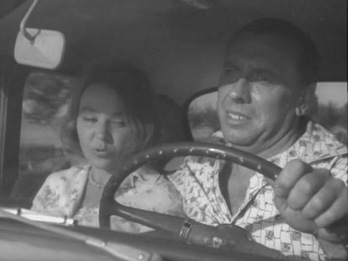 Мать и мачеха (1965)